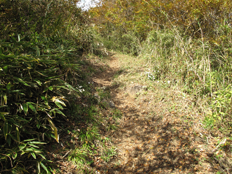 20181102hike (118)